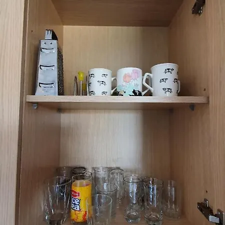 Apartment Riand Borsh