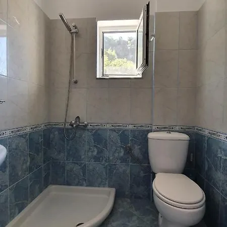 Apartment Riand Borsh